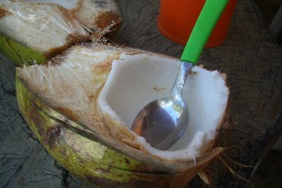 Split coconut